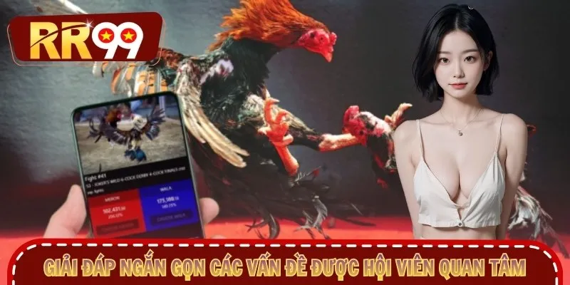 Giải đáp ngắn gọn các vấn đề được hội viên quan tâm